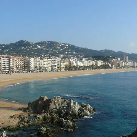 In - 104836 By Mo * Lloret de Mar